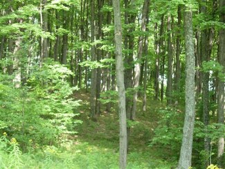 0 Hartland Hill Rd, Woodstock, VT 05091