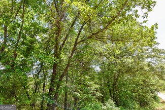 0 Skelton Rd Unit LOT 14 10297718, Thomaston, GA 30286
