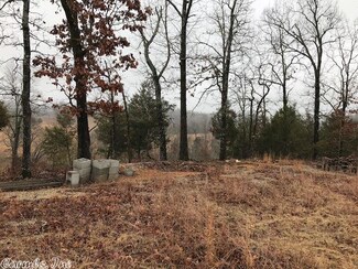 0 Lowder Mountain Rd Unit 18008644, Williford, AR 72482