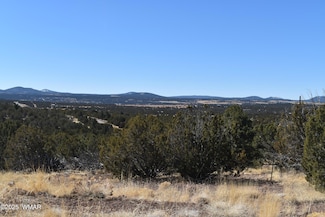 0 Stanford, Concho, AZ 85924