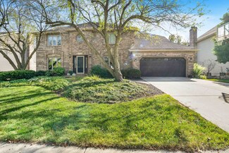 406 Sagebrush Rd, Naperville, IL 60565