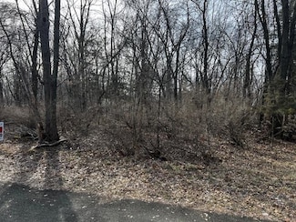 0 Moccasin Trail, Mecan, WI 53949