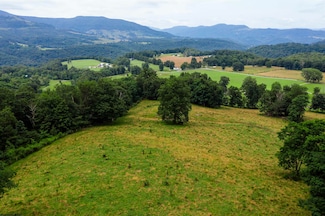 100 Miller Farm Ln, Davis, WV 26260