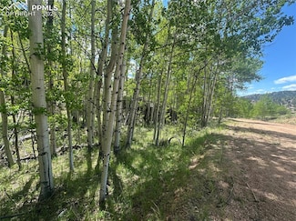 524 Buckhorn Rd, Cripple Creek, CO 80813
