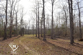 0 Cowpens Pacolet Rd Unit 23075109, Spartanburg, SC 29307