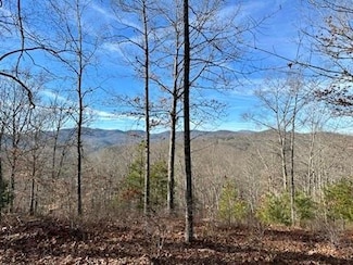 305 Raccoon Run Unit 25, Marshall, NC 28753