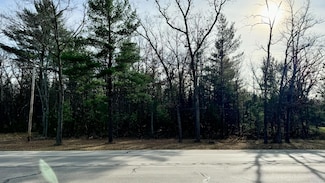 V/L Highway 10 NW, Baldwin, MI 49304