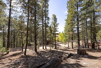 1685 Gulf Stream Dr, Duck Creek Village, UT 84762