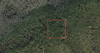0 Holopaw Groves Rd Unit MFRTB8318323, Saint Cloud, FL 34773