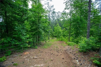 6480A Highway 52, Dahlonega, GA 30533