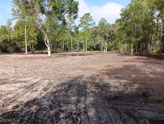 720 S Romero St, Montura, FL 33440