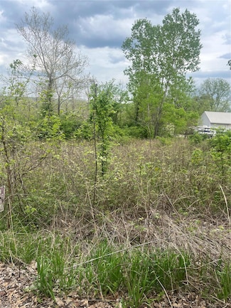 784 Sunset Maple Dr, Gray Summit, MO 63039