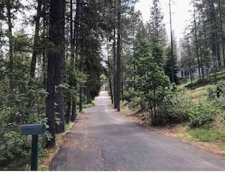 18507 Dunvegan Dr, Applegate, CA 95703