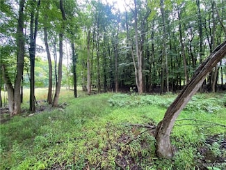 V/L Luther Rd, Aurora, NY 14052