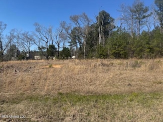 0 Business Center Dr, McComb, MS 39648