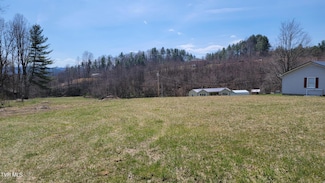 171 J Cress Rd, Mountain City, TN 37683