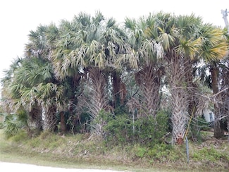 8 Collingville Ct, Palm Coast, FL 32137