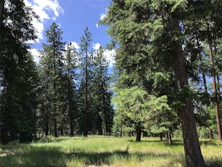 11 River Run Loop, Saint Regis, MT 59866