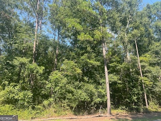 203 Pebble Cove Rd, Abbeville, AL 36310