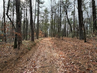 TBD Caution Tape Rd, Cana, VA 24317