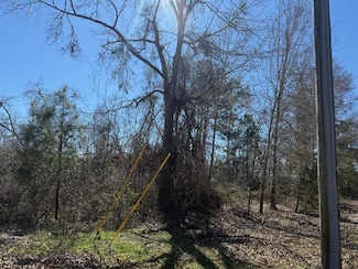00 Wragler Trail (Lot), Hazlehurst, GA 31539