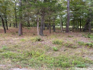 28 Princesa Dr, Hot Springs Village, AR 71909