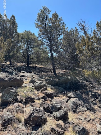 239 Geronimo Dr, Concho, AZ 85924