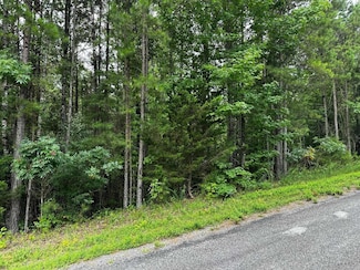 Lot 96 Cobalt Bay Dr, Shirley, AR 72153