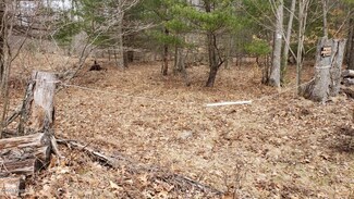 0 S Frank Smith Rd, Chase, MI 49623