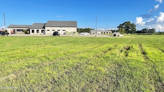 65 Garrett Dr, Medina, TN 38355