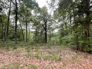 1401 Foxhound Trail NE, Ranger, GA 30734