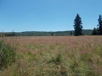 2052 State Route 505, Toledo, WA 98591