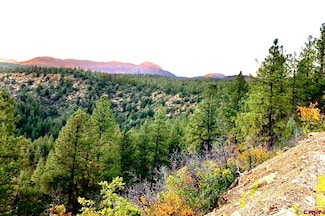 TBD E Us Hwy 160, Durango, CO 81301