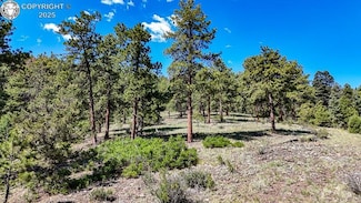 1875 S Tallahassee Trail, Canon City, CO 81212