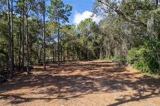 0 SE 180th Avenue Rd Unit MFRS5135899, Ocklawaha, FL 32179