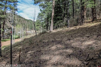 438 Bear Creek Cir, Bayfield, CO 81122