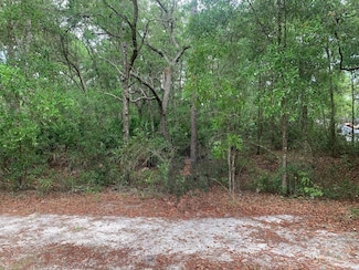 209 Highline Trail, Satsuma, FL 32189