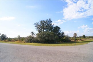 0000 11 Ave E, Myakka City, FL 34251