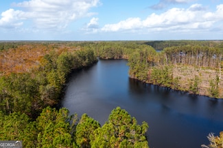 124 Harvey Rd, Bloomingdale, GA 31302