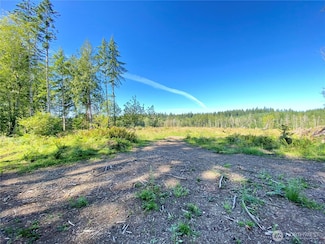 4350 Lot D SE Lynch Rd, Shelton, WA 98584
