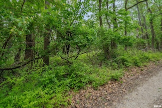 0 N Stewart St, Creve Coeur, IL 61610