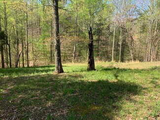 0 Perrys Pl Lot 160, Lynchburg, TN 37352