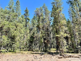 4374 Yeti Ln, Island Park, ID 83429