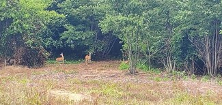 5.8 acres Nc 152 Hwy, China Grove, NC 28023