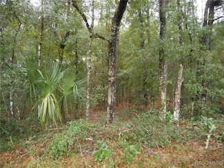 L 6 SW 97th Place, Dunnellon, FL 34431