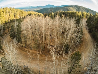 0 S Resort Dr Unit REC8879244, Conifer, CO 80433