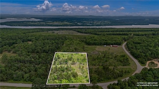 3291 River Mountain Rd, Delaware, AR 72835