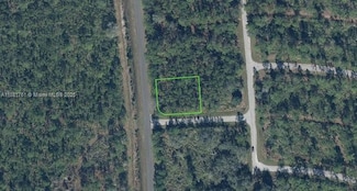 8600 Trionfo St, Sebring, FL 33872