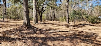 Lot 102 Bleu Lake Dr, Covington, LA 70435