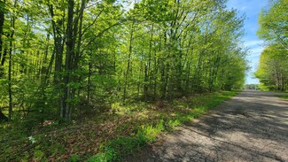 ON Pleasant Acres Ln Unit 1.47 Acres, Summit Lake, WI 54485